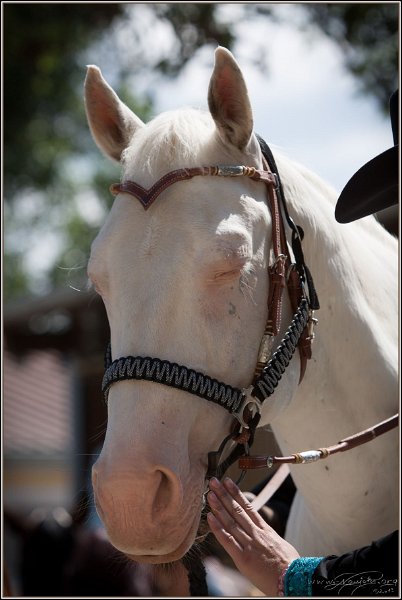 Thalmeier Ranch 2014 06 15 - 117
